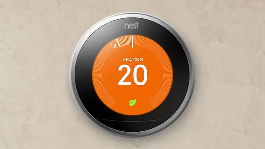 Nest